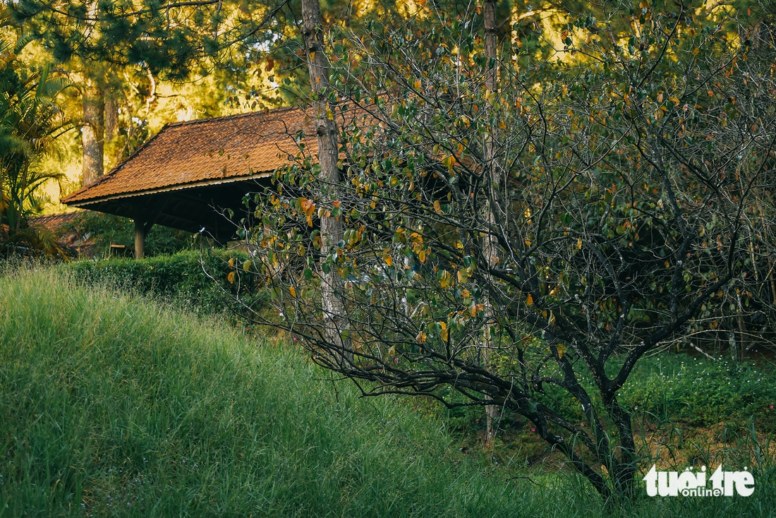 Đà Lạt - Ảnh 5.