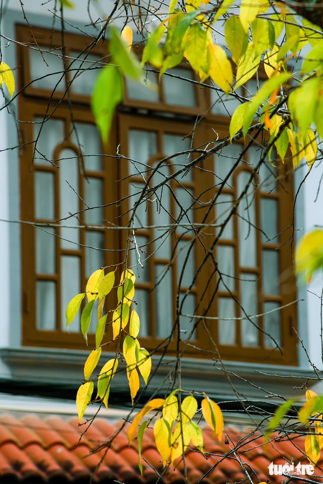 Đà Lạt - Ảnh 7.