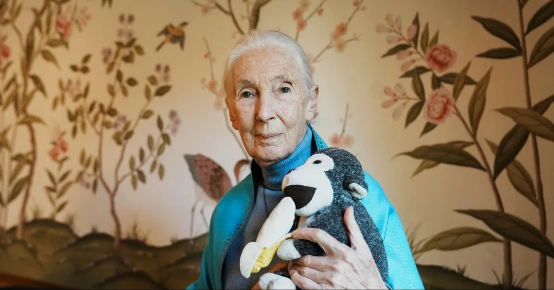 David Lynch - Ảnh 9.