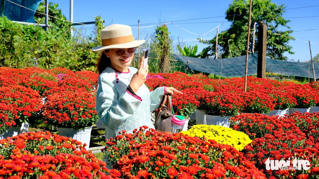 làng hoa Sa Đéc - Ảnh 4.