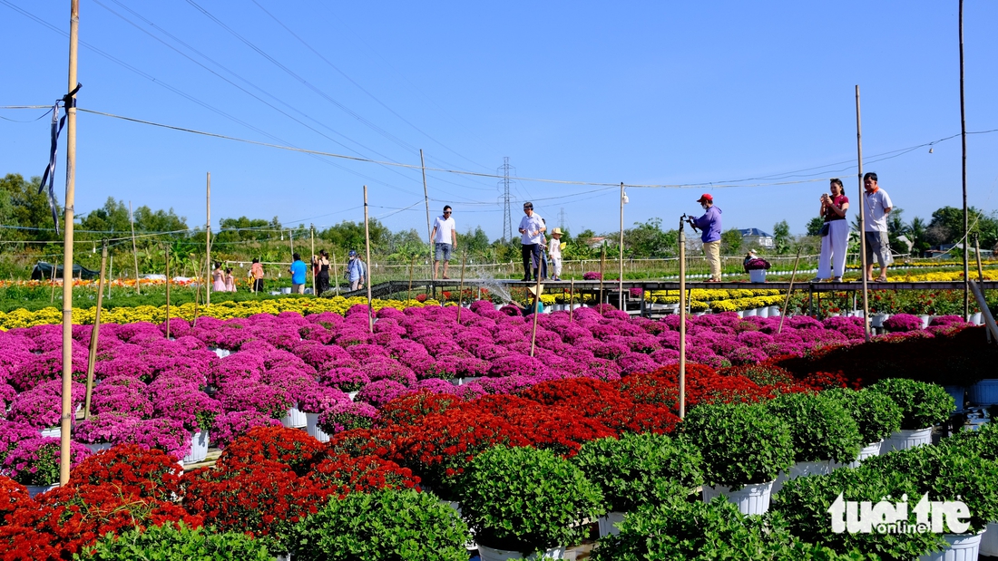 làng hoa Sa Đéc - Ảnh 7.