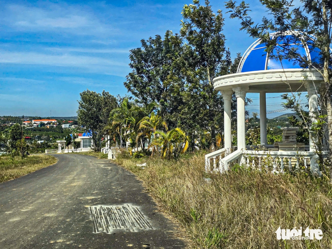 'Siêu dự án' Sài Gòn - Đại Ninh sau 15 năm đầu tư vẫn là vùng hoang phế - Ảnh 3.