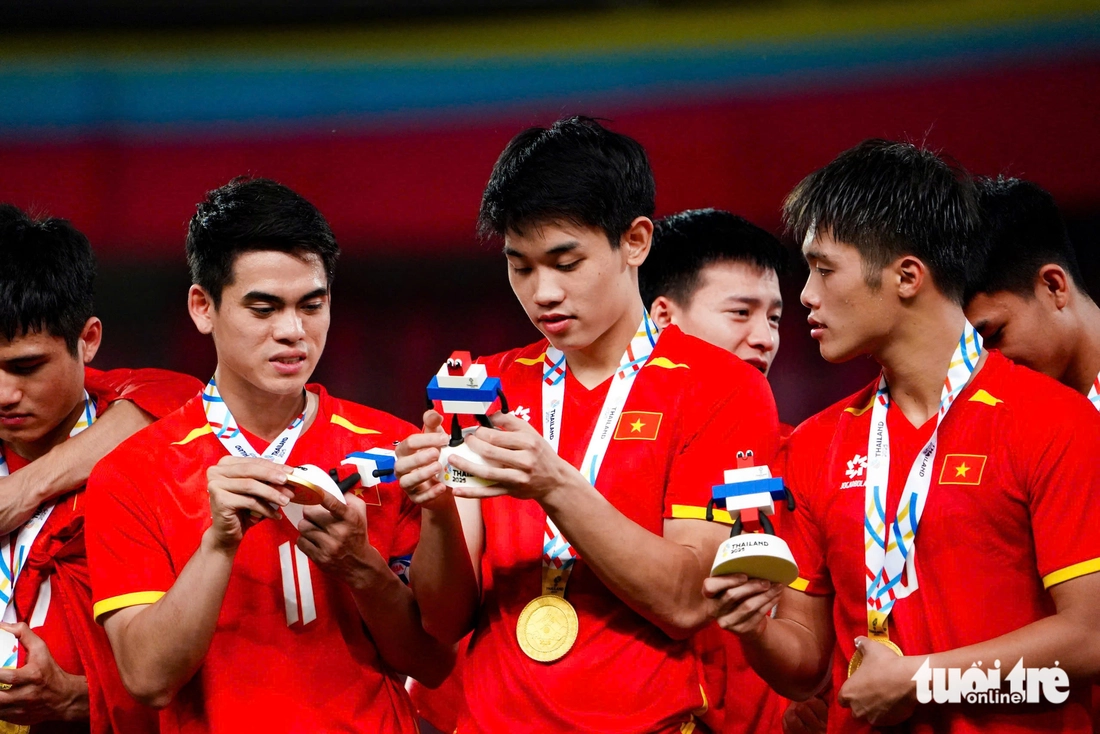 Chủ tịch VFF - Ảnh 4.