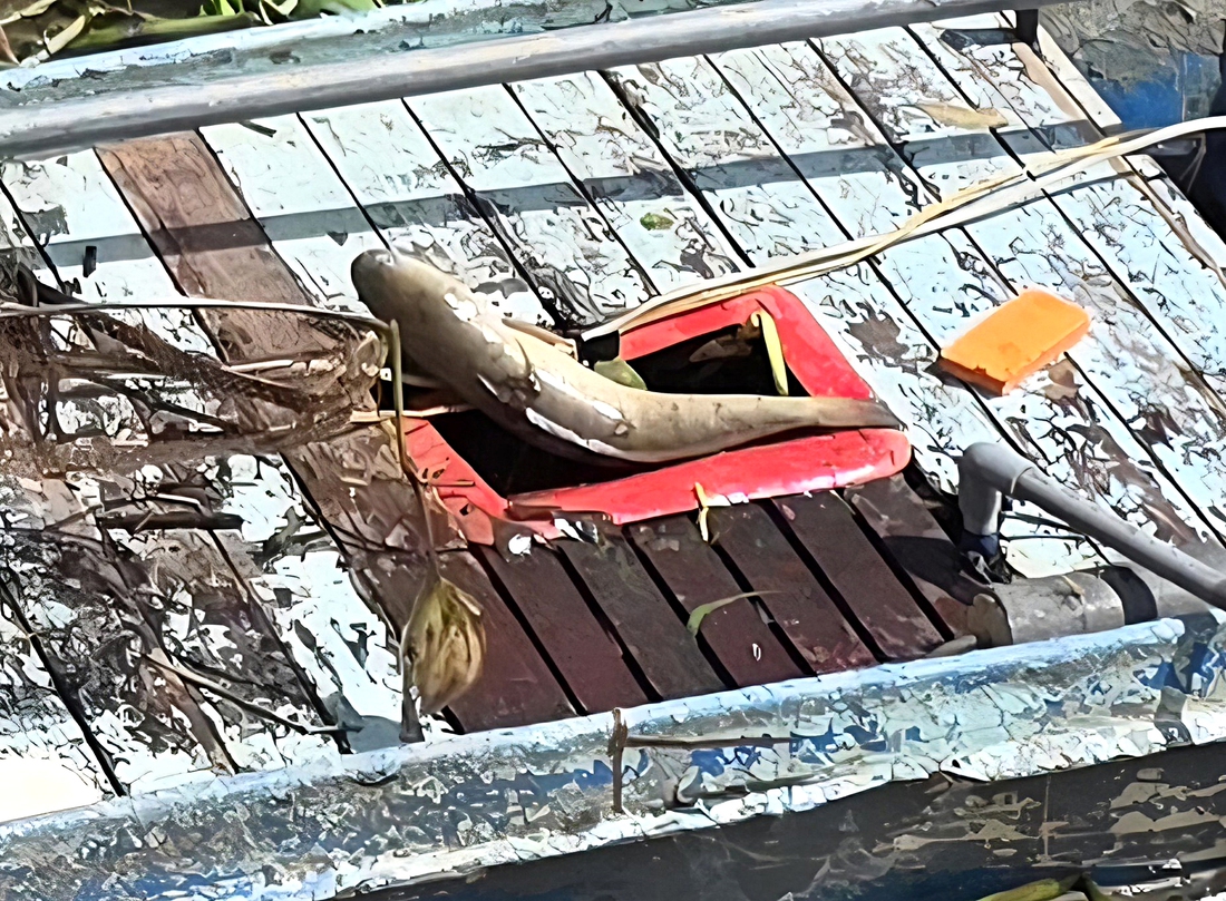 xuyệt điện - Ảnh 9.