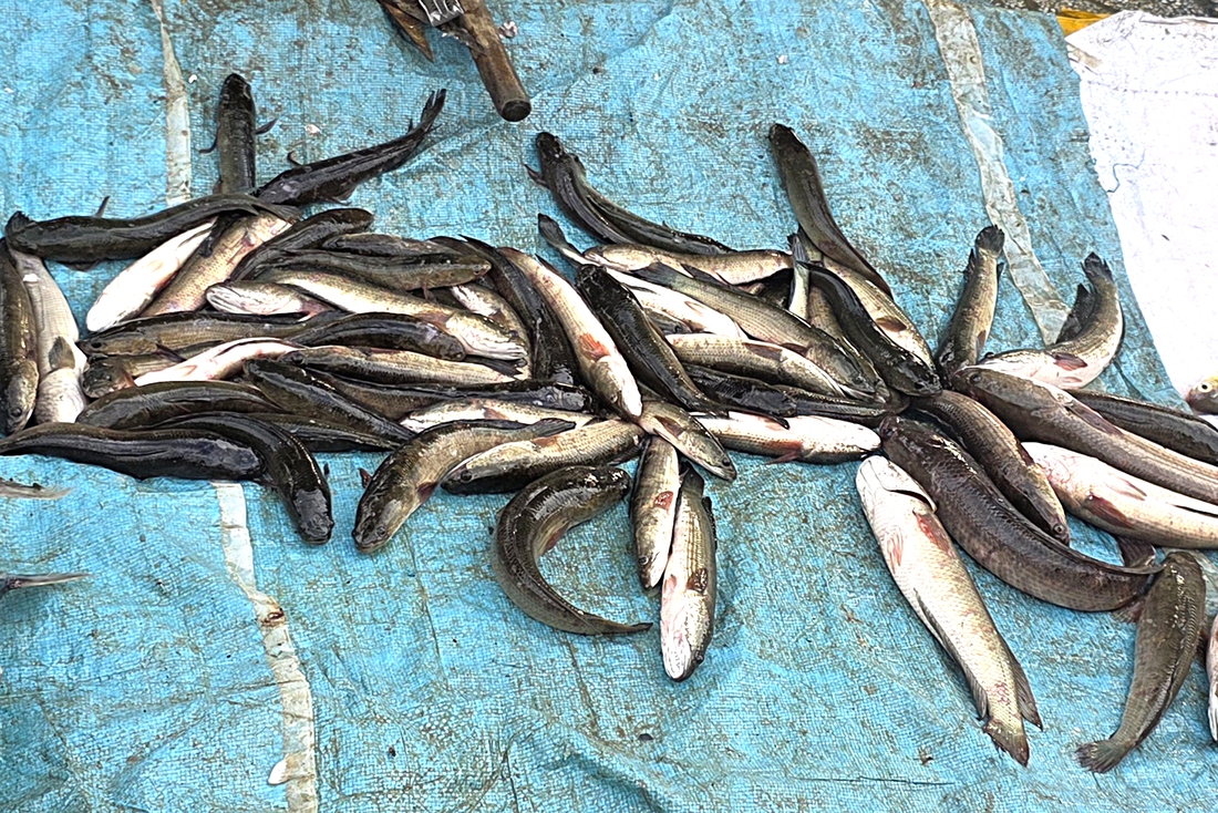 xuyệt điện - Ảnh 3.