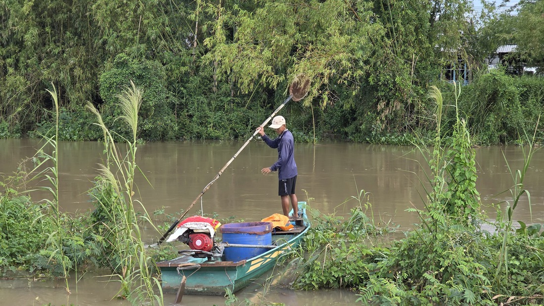xuyệt điện - Ảnh 2.