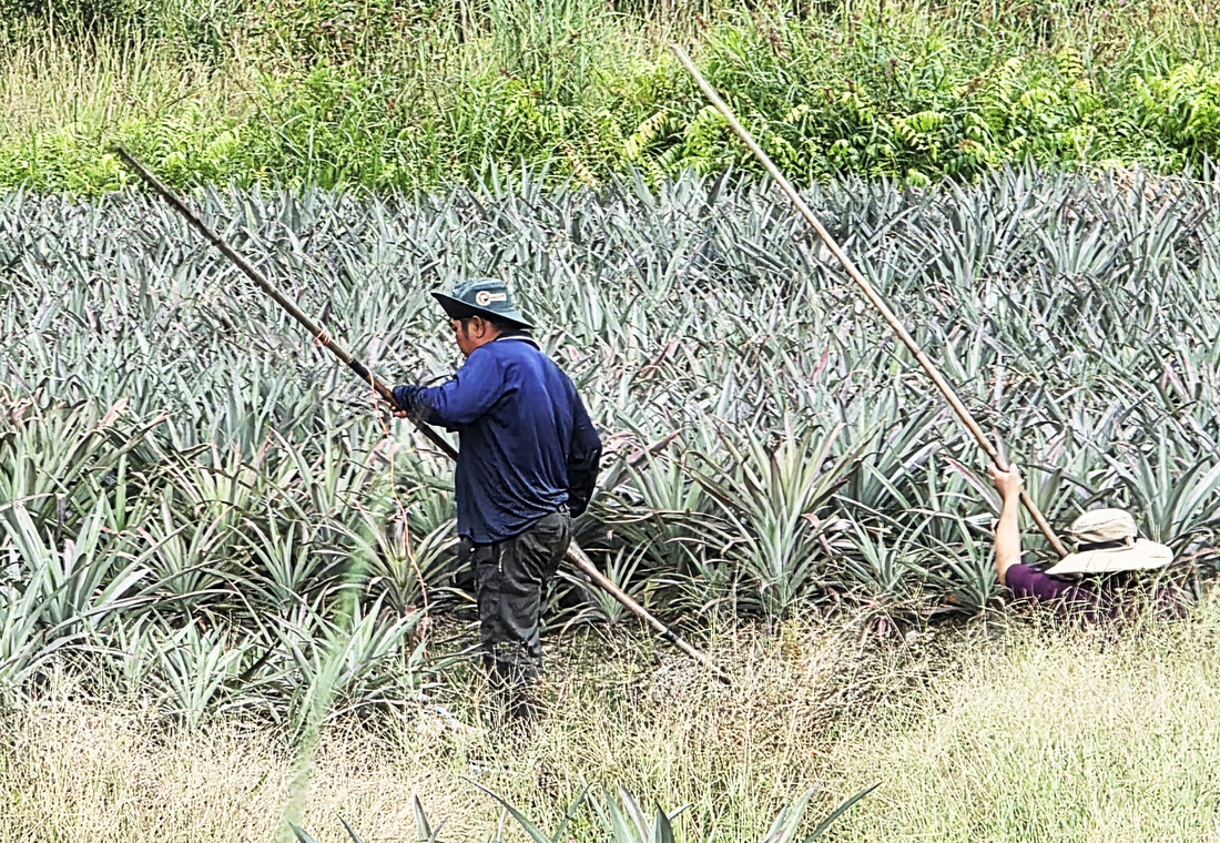 xuyệt điện - Ảnh 5.