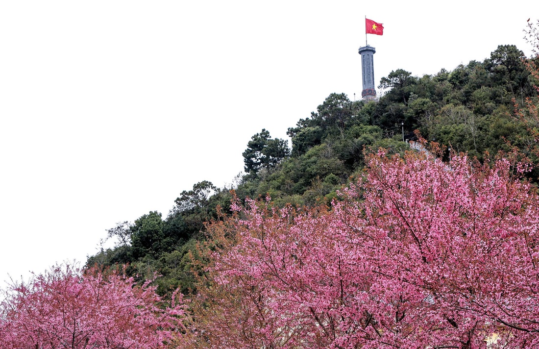 hà giang - Ảnh 4.