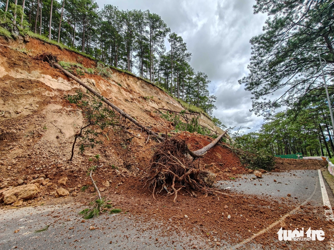 đèo Prenn - Ảnh 2.