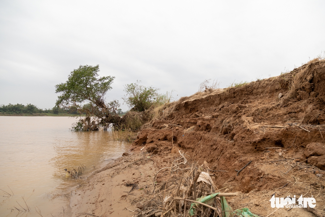 cát tặc - Ảnh 3.