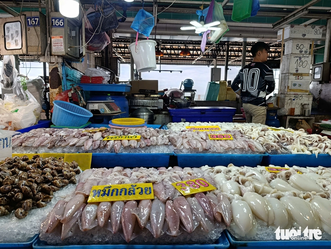 sea games  - Ảnh 4.