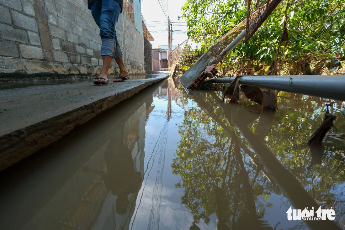 Nhà vườn thanh long Bình Thuận mất trắng vì lũ - Ảnh 9.