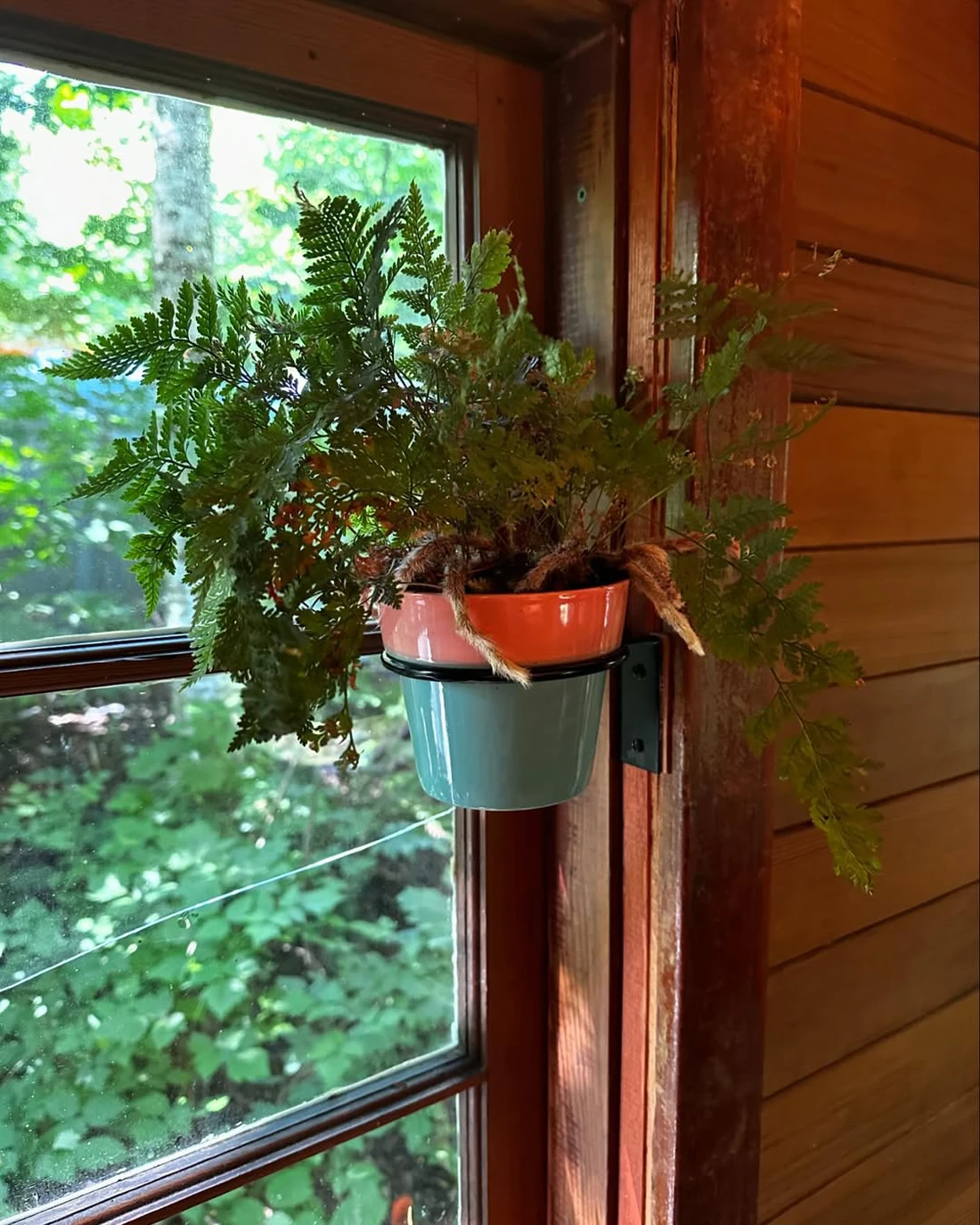 Nhà di động độc đáo người khó mua nhà sẽ thích: Chi phí chỉ ngang Mazda CX-5, như nhà cổ giữa rừng - Ảnh 15.