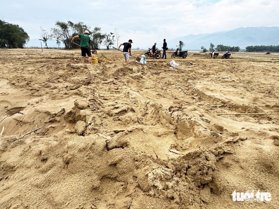 bồi lấp - Ảnh 1.