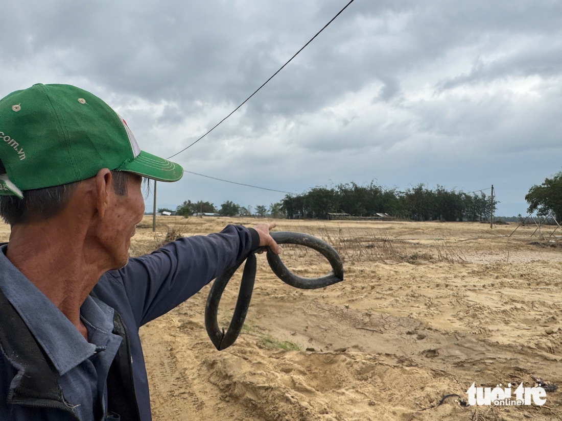 bồi lấp - Ảnh 2.