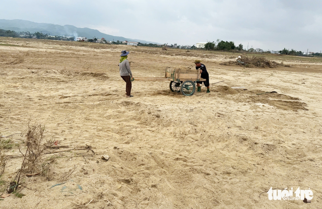 bồi lấp - Ảnh 7.