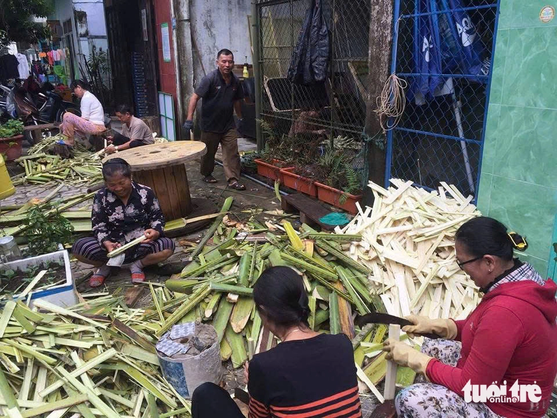 Tranh giấy dừa độc đáo từ tàu dừa bị chặt bỏ ở Đà Nẵng - Ảnh 14.