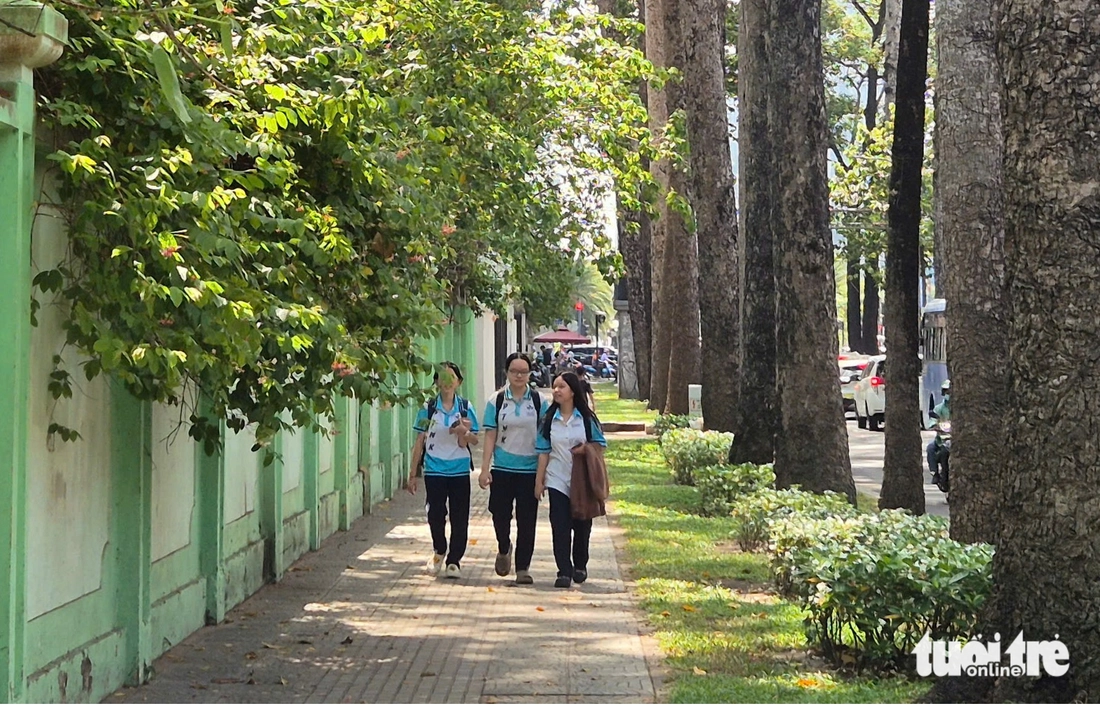 TP.HCM nắng nóng ‘đổ lửa’, người dân tìm đến tán cây, tài xế công nghệ dùng thuốc chống say nắng - Ảnh 7.