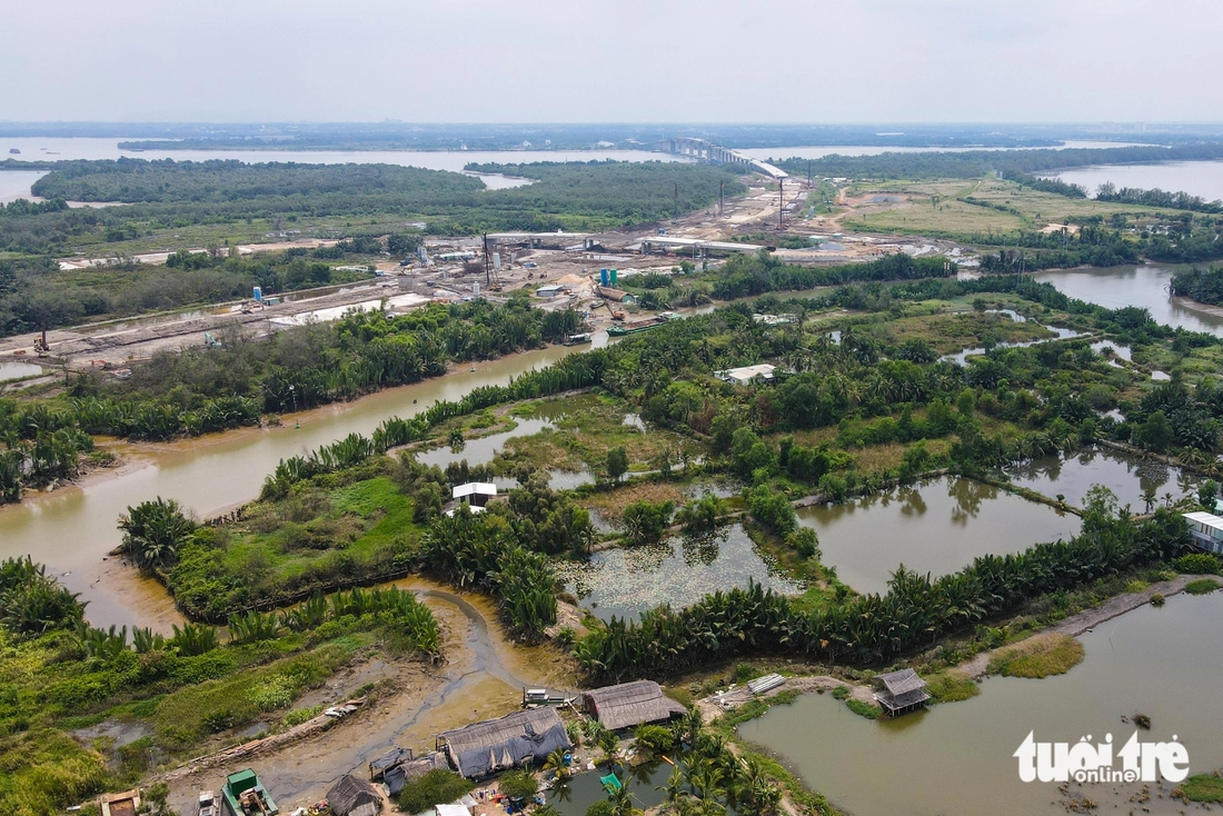 Hiện trạng khu đất cảng Trường Thọ, nông trường dừa ở Thủ Đức sẽ làm đô thị nén - Ảnh 5.