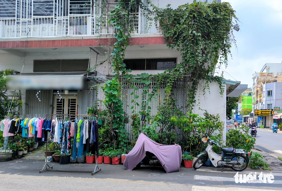 Chậu cây ‘mọc’ đầy vỉa hè, lòng đường ở quận Tân Phú - Ảnh 5.