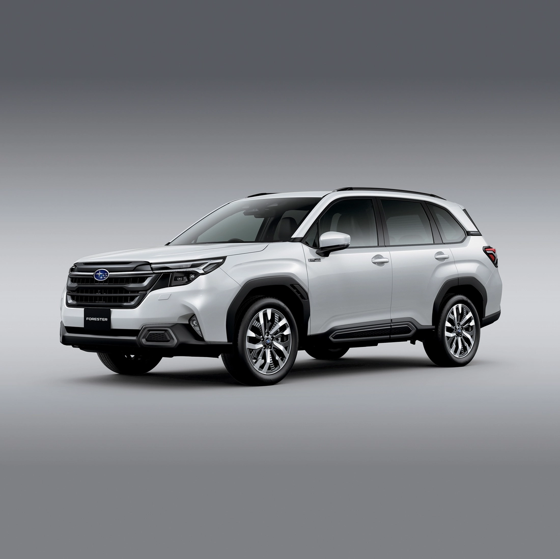 Subaru Forester - Ảnh 2.
