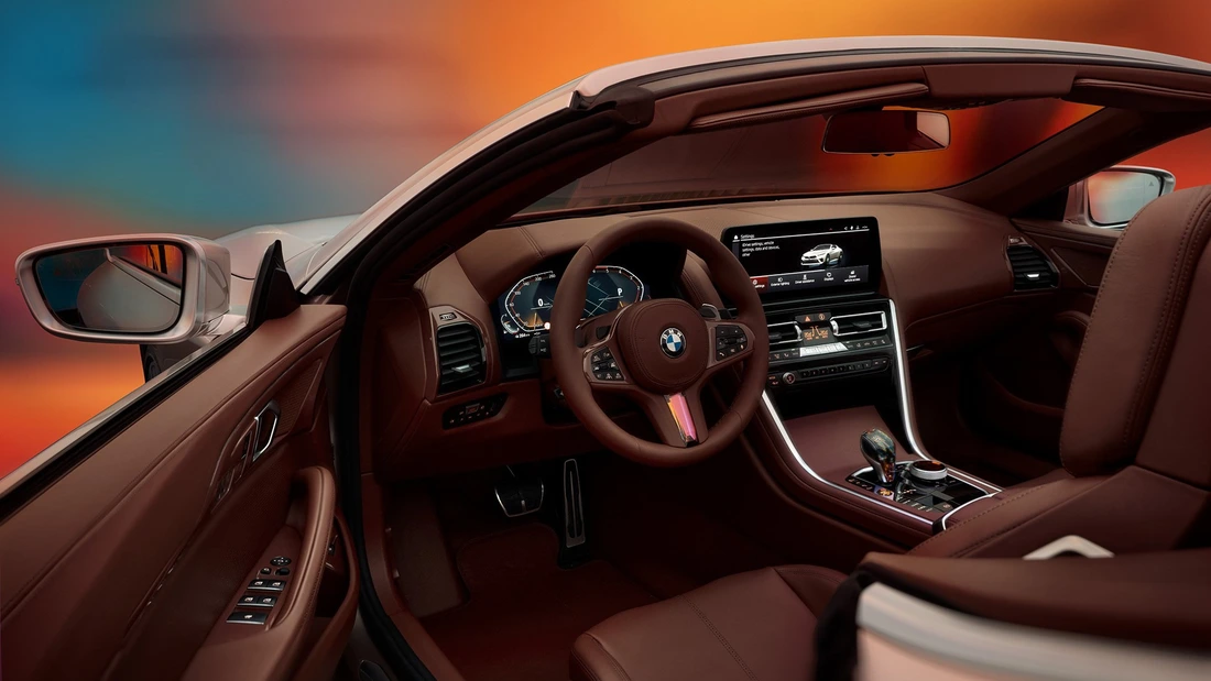 BMW Skytop - Ảnh 4.