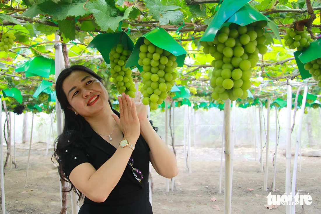 Vườn nho mẫu đơn trĩu quả khiến du khách mê mẩn 'sống ảo' - Ảnh 1.