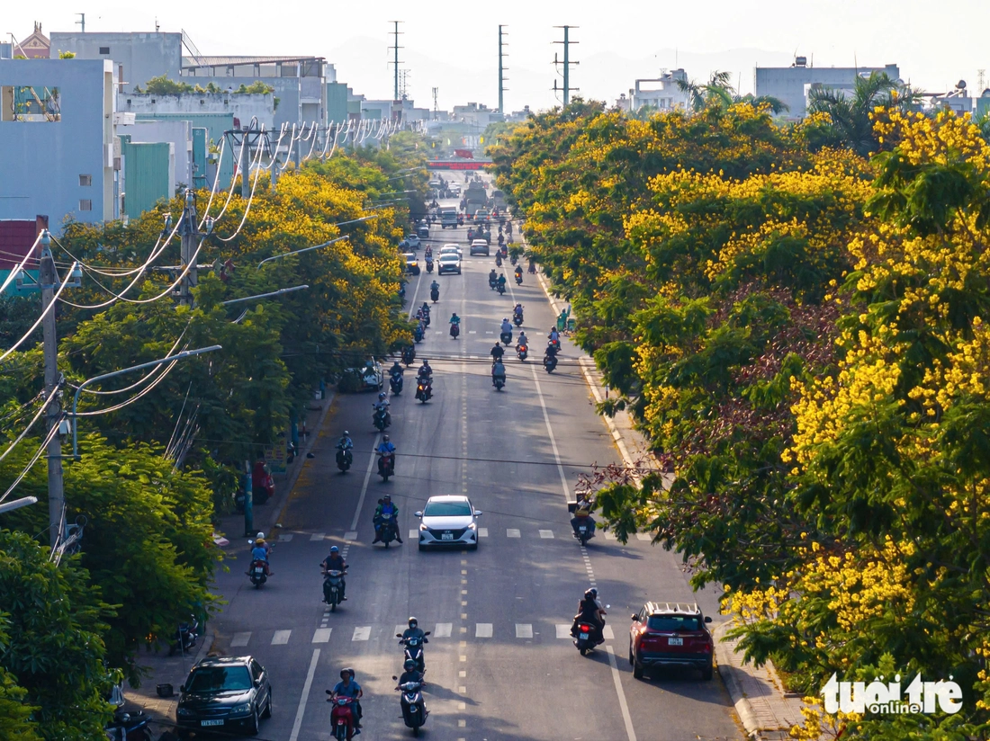 Nhìn từ trên cao, thấy một Quy Nhơn lộng lẫy - Ảnh 7. Quy Nhơn - Ảnh 6.