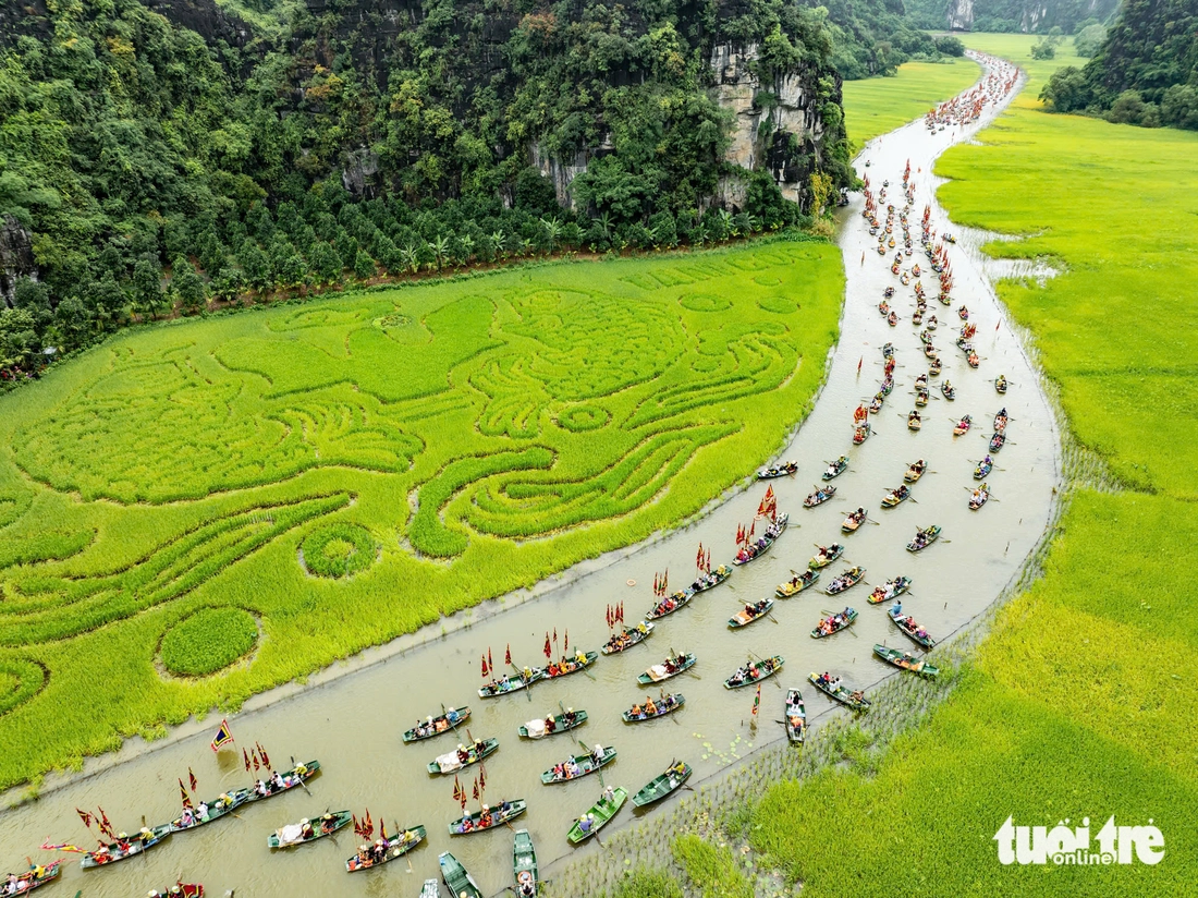 Lúa chín gọi mời, Ninh Bình khai hội ‘Sắc vàng Tam Cốc - Tràng An’ - Ảnh 1. Lúa chín gọi mời, Ninh Bình khai hội ‘Sắc vàng Tam Cốc - Tràng An’ - Ảnh 1.