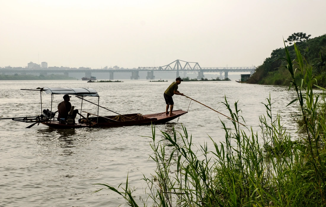 diệt cá - Ảnh 3.