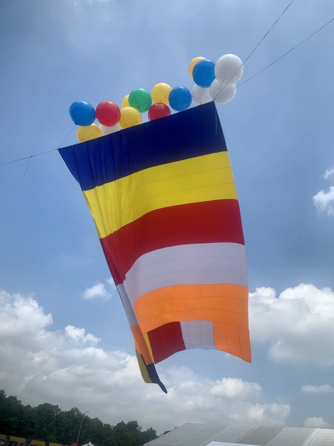 Đại lễ Vesak 2025: Đánh thức năng lượng thiện lành vì một thế giới hòa bình - Ảnh 9. Vesak - Ảnh 7.