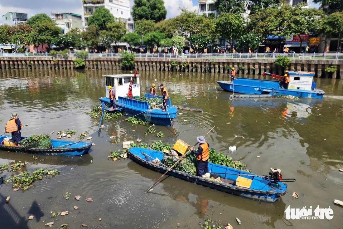 Cá chết nổi lềnh bềnh trên kênh Nhiêu Lộc - Thị Nghè, công nhân môi trường tất bật thu gom - Ảnh 8.