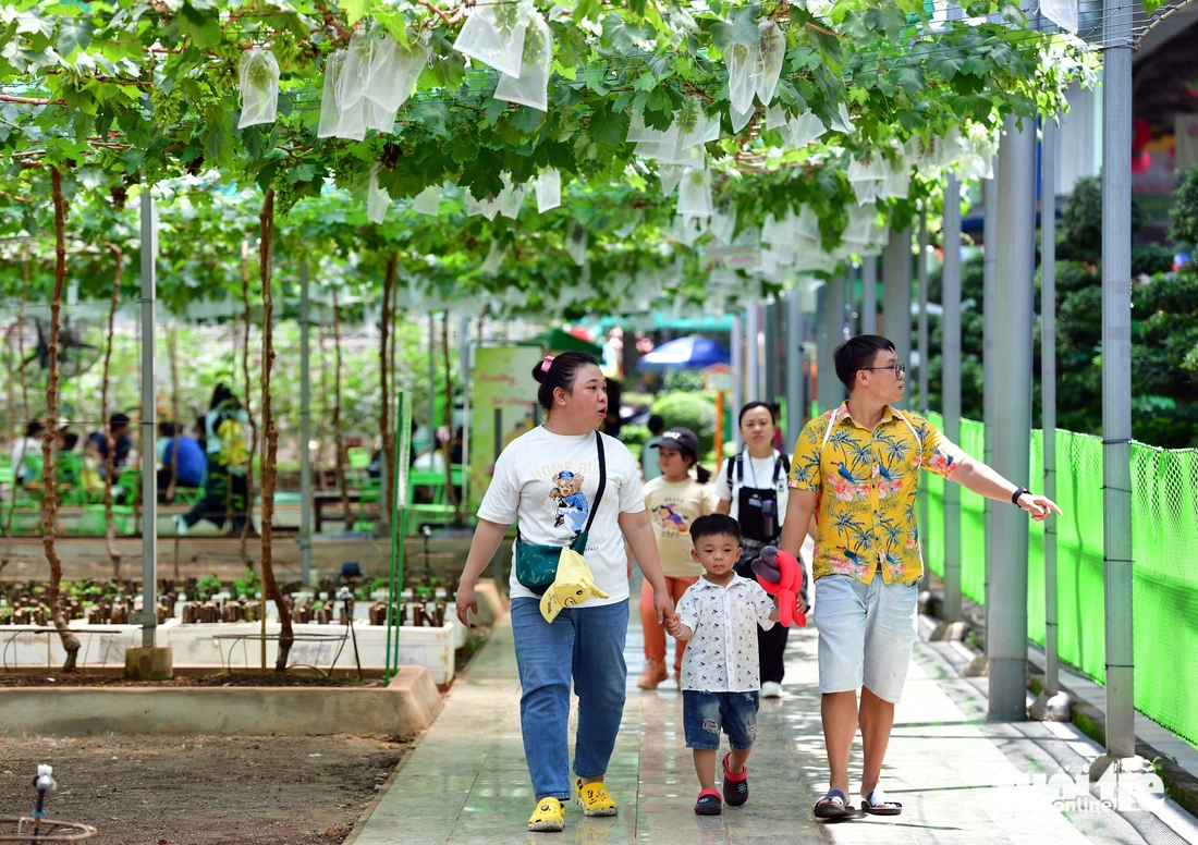 Lễ hội trái cây nam bộ - Ảnh 6.