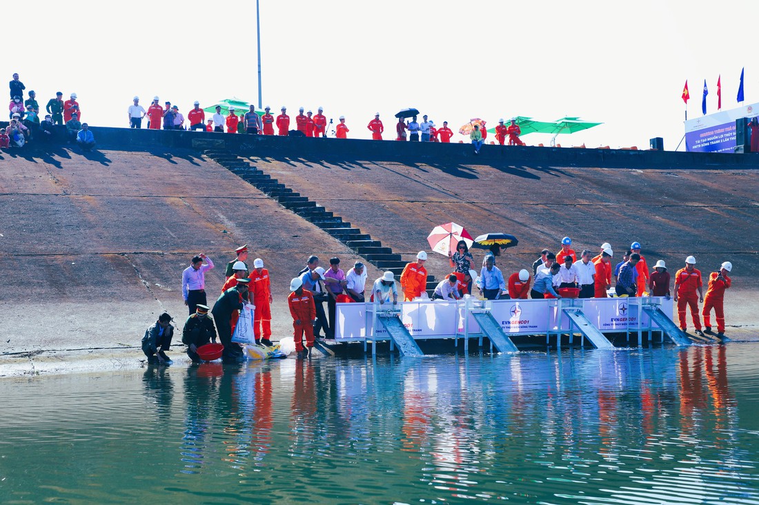 sông tranh 2 - Ảnh 3.