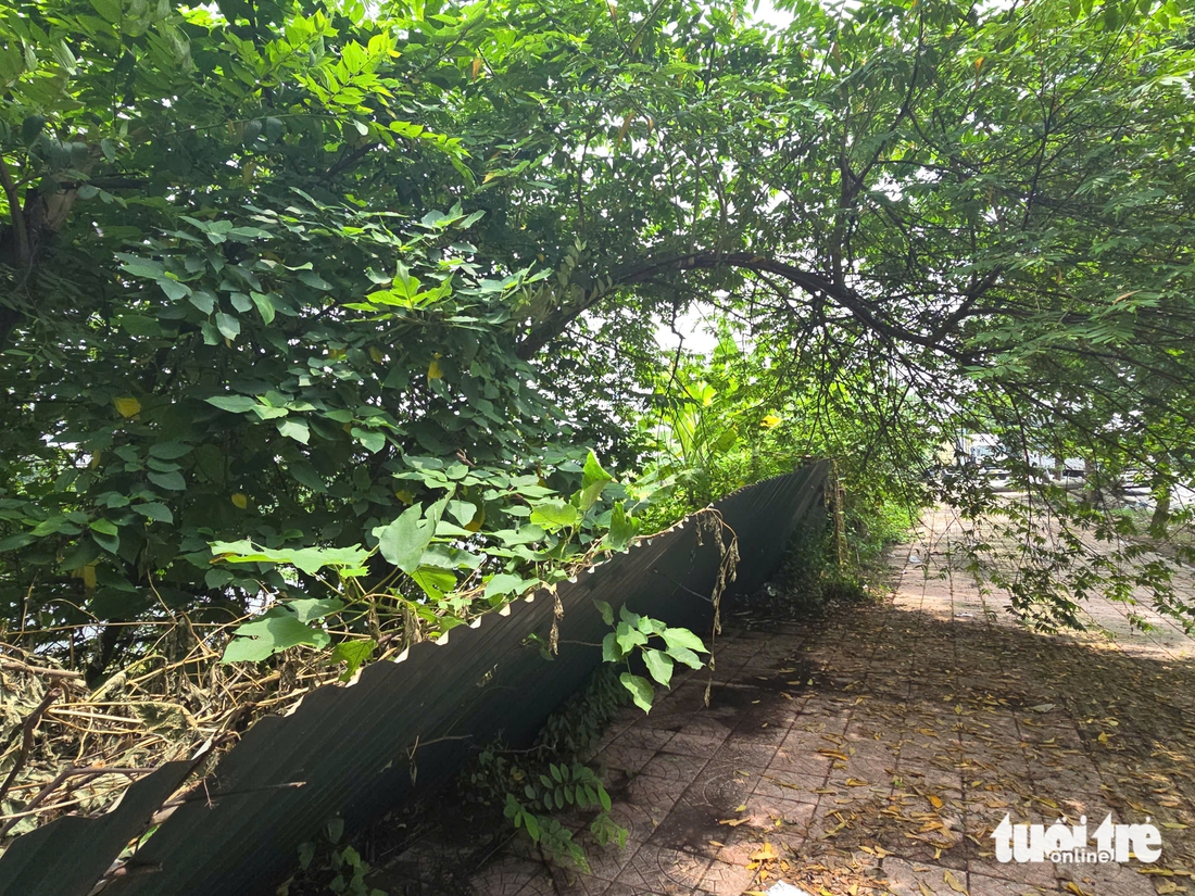Cận cảnh 2 dự án cảng cạn nghìn tỉ ở Hà Nội bỏ hoang gần chục năm - Ảnh 8.