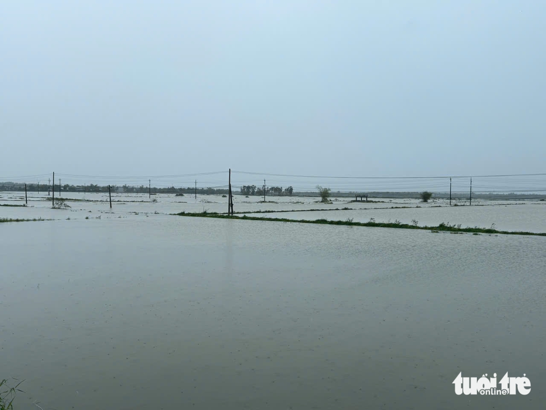 nước lũ - Ảnh 3.