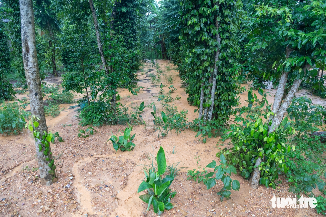 cao tốc - Ảnh 4.