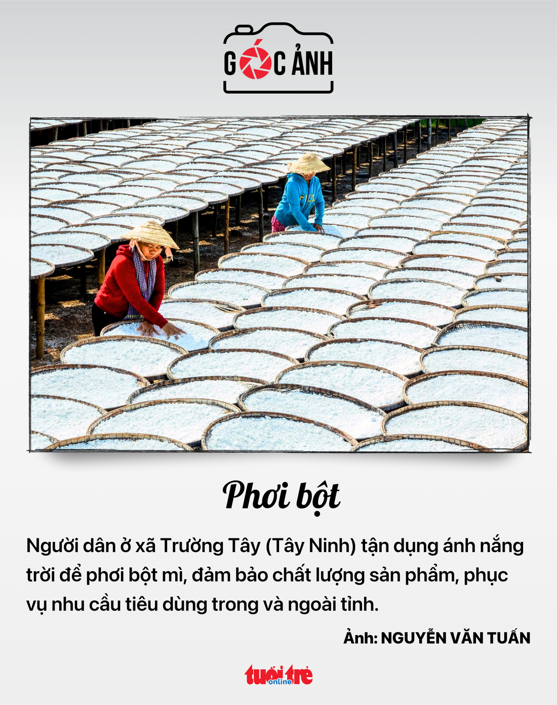 tin tức - Ảnh 8.