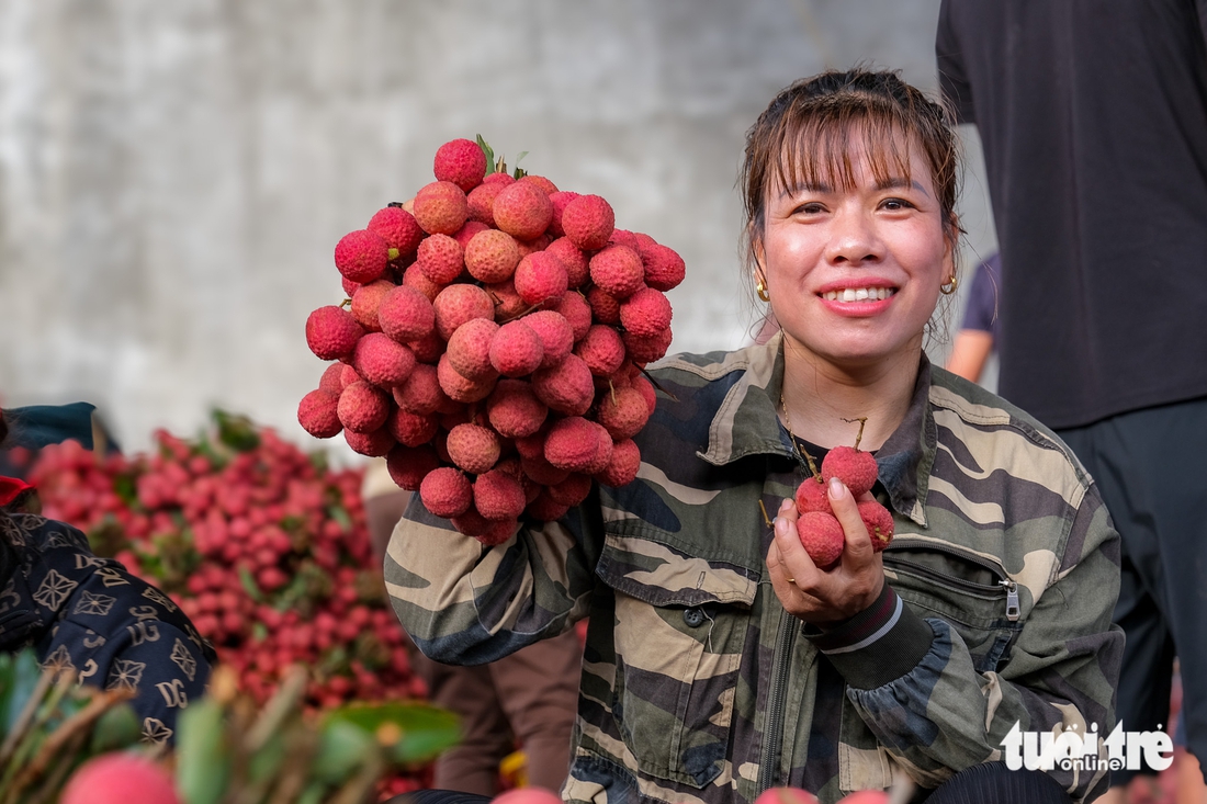 Điệp khúc vải thiều 'được mùa mất giá': Nông dân gồng mình đẩy hàng - Ảnh 5. Điệp khúc vải thiều 'được mùa giá rẻ như cho', nông dân gồng mình đẩy hàng - Ảnh 5.