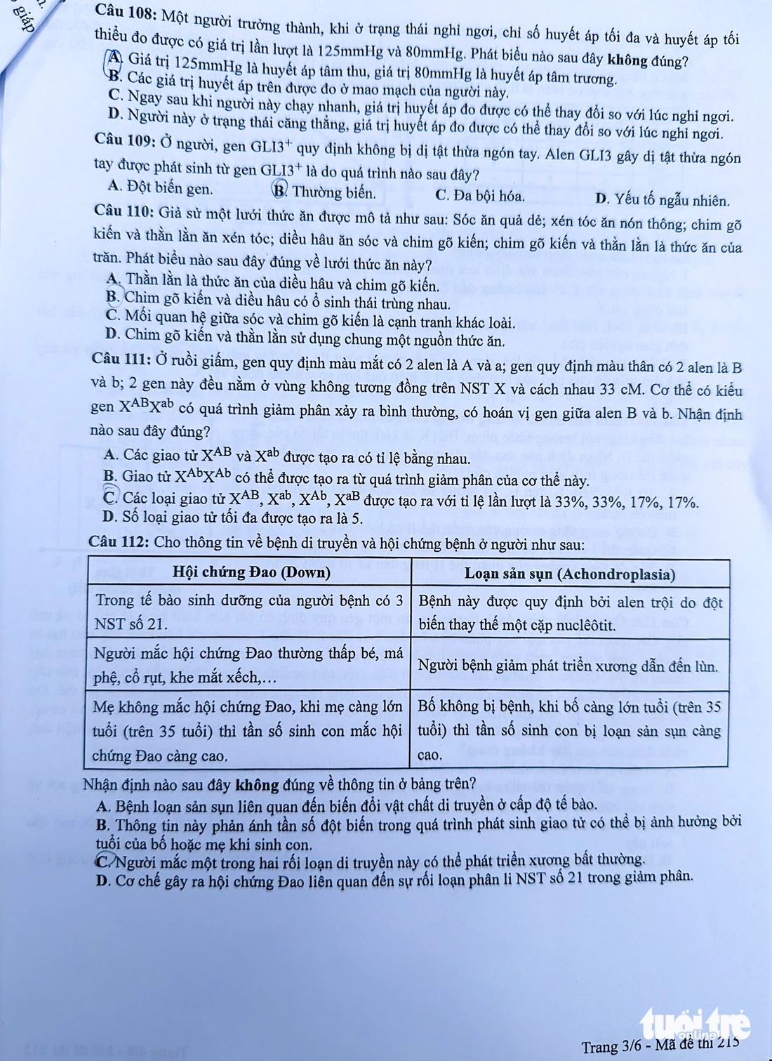 đề tổ hợp - Ảnh 7.