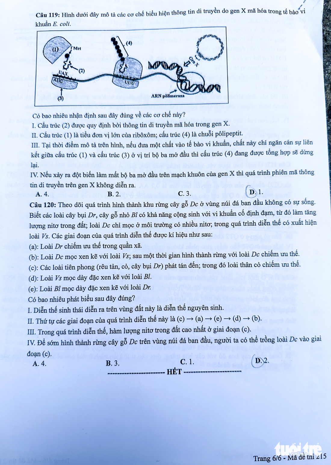 đề tổ hợp - Ảnh 10.