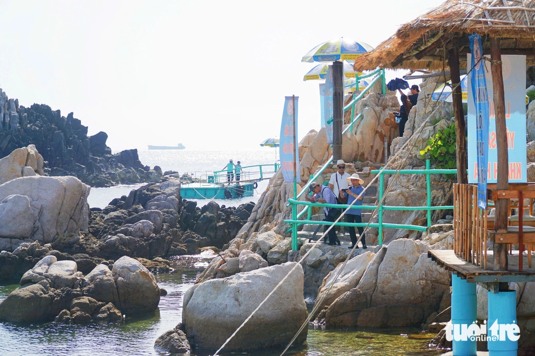 Lễ hội Yến sào ở đảo Yến trên vịnh Nha Trang - Ảnh 4. yến sào - Ảnh 3.