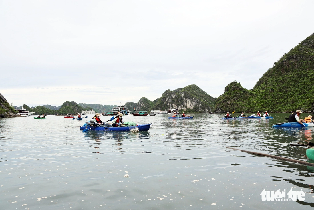 vớt rác - Ảnh 1.