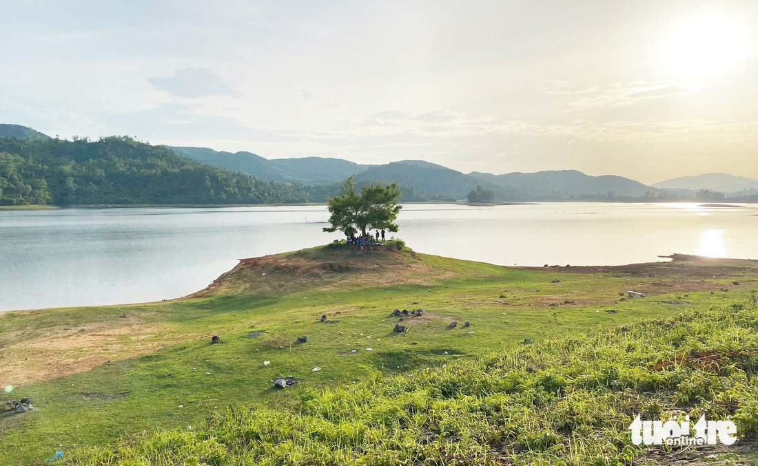 Mê mẩn hồ Phú Ninh mùa nước cạn, du khách đổ về check-in cây cô đơn - Ảnh 1.
