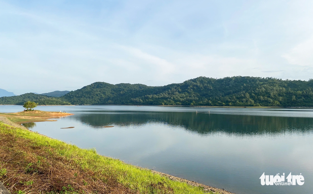 Mê mẩn hồ Phú Ninh mùa nước cạn, du khách đổ về check-in cây cô đơn - Ảnh 7.