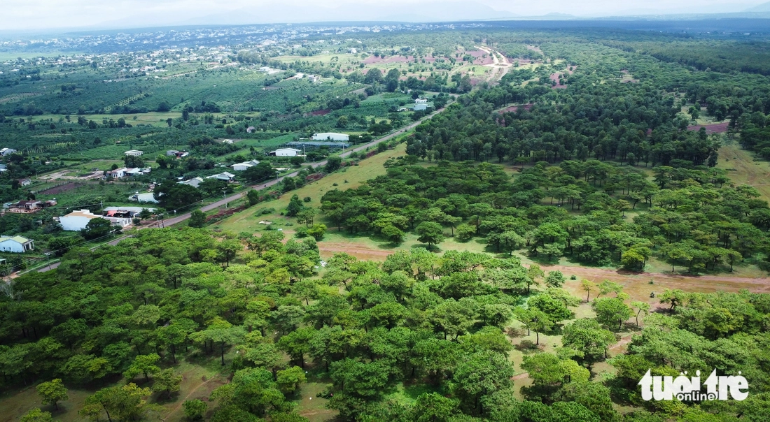 Dự án sân golf Đak Đoa sắp khởi động lại, hiện trạng ra sao?- Ảnh 6. Dự án sân golf Đak Đoa sắp khởi động lại, hiện trạng ra sao?- Ảnh 6.
