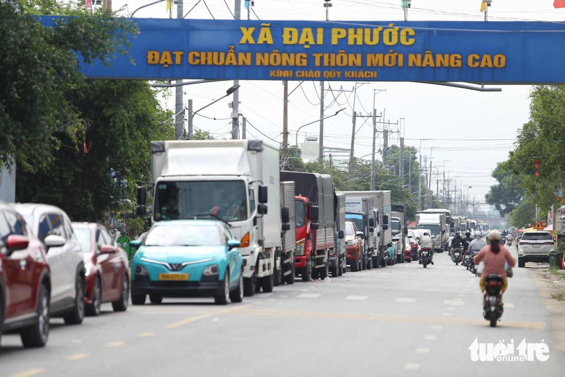 phà Cát Lái - Ảnh 5.