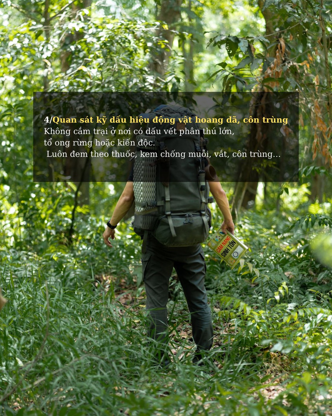 đi phượt - Ảnh 5.