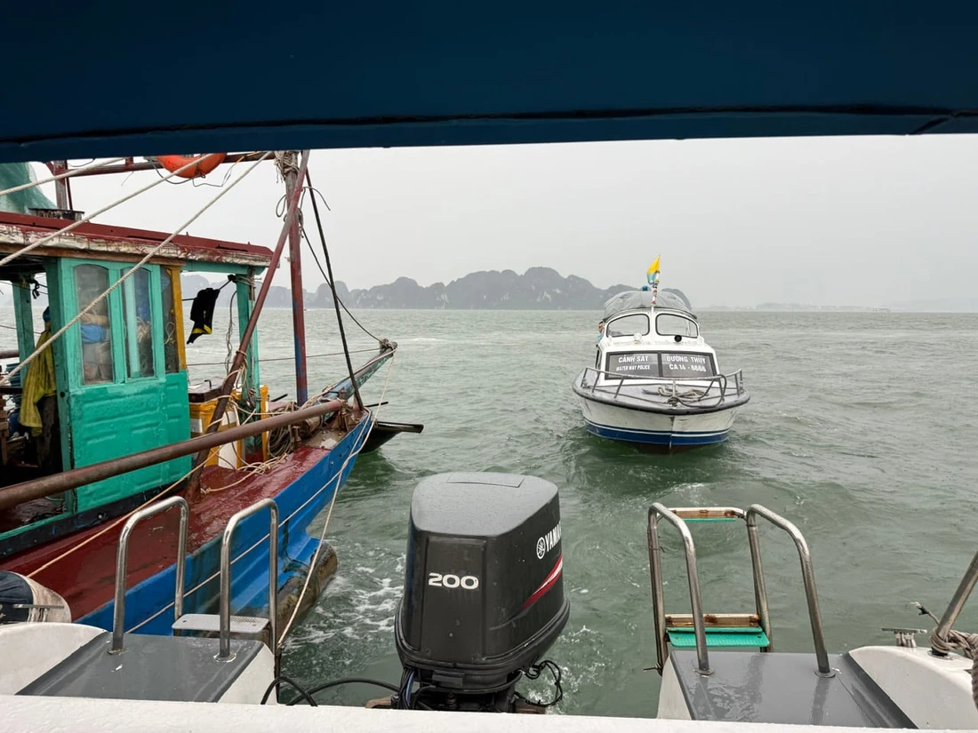 HẠ LONG - Ảnh 16.