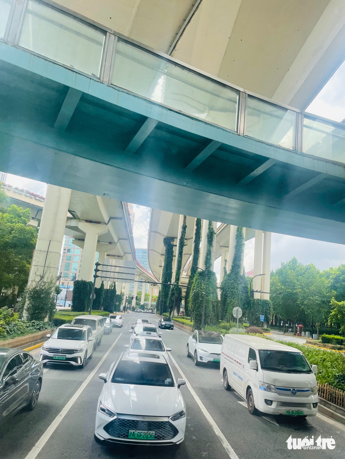 3 'đặc sản' ở Thượng Hải - Ảnh 5.